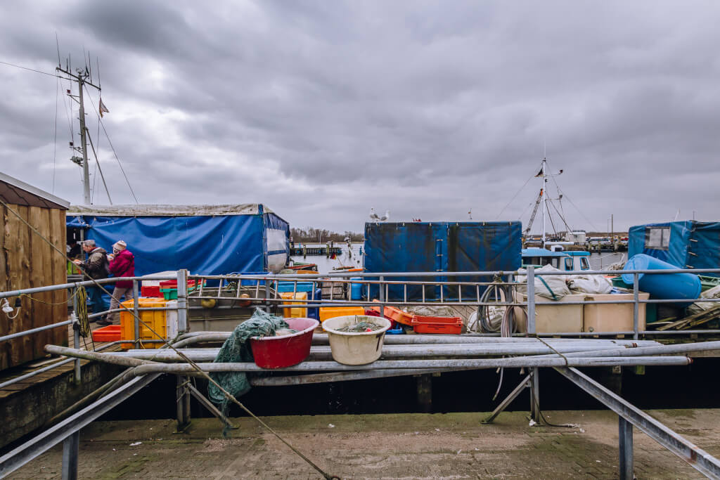 Bild aus dem Fischereihafen Travemünde
